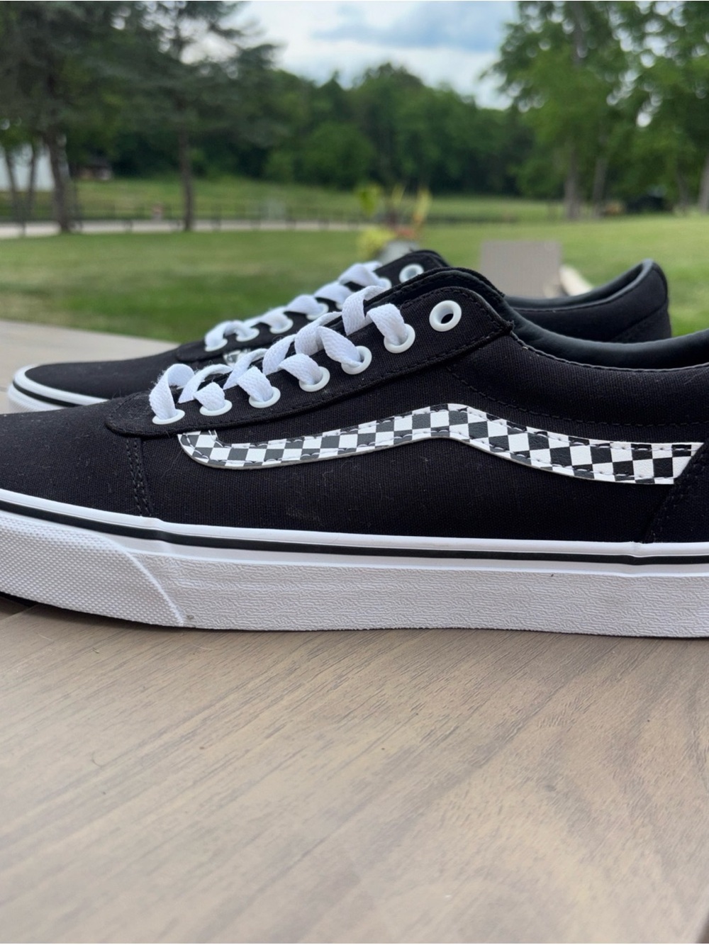 Vans Ward skate shoes